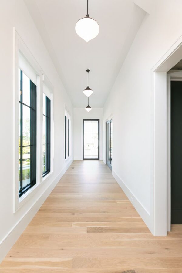 Spring into Summer: What Brisbane Property Owners Need to Know This November