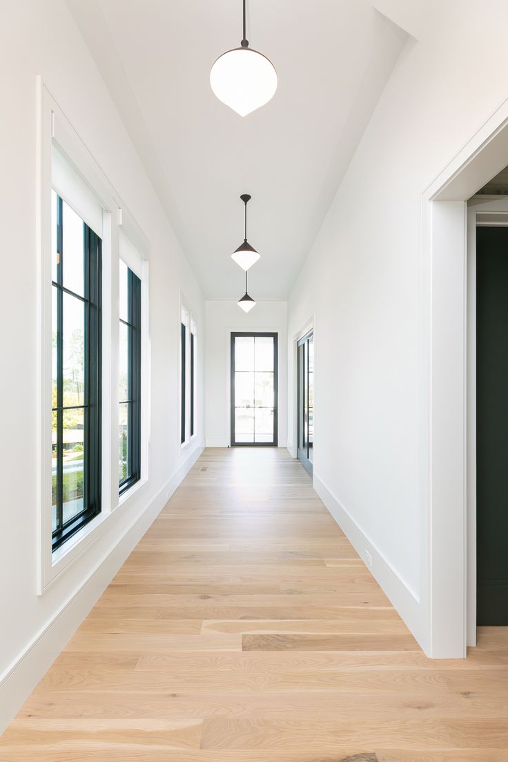 Spring into Summer: What Brisbane Property Owners Need to Know This November